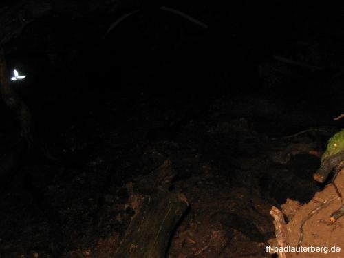 2011_06_02 Waldbrand Kummel Richtung Bismarkturm 15